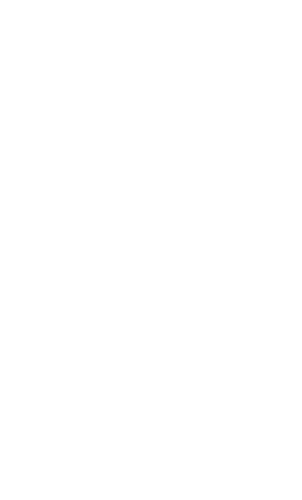 lteam baltas